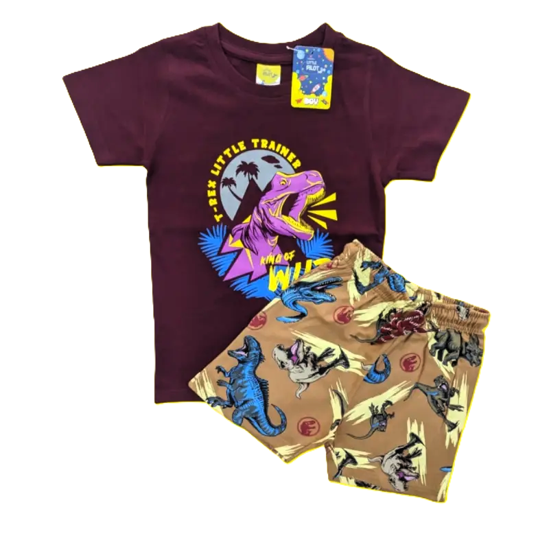 T-shirt with Shorts sets| BSET | Little trainer