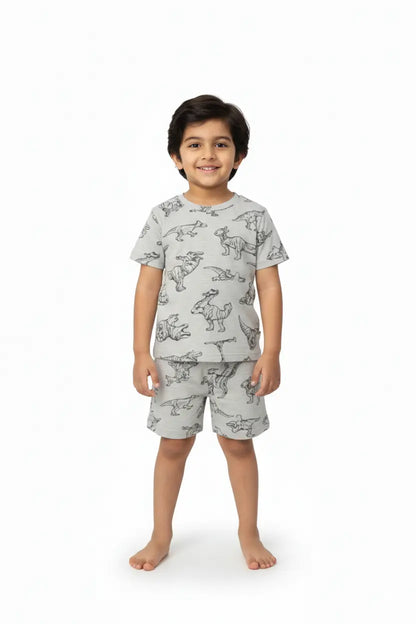 T-shirt with shorts | Co-ord Sets| BSS| Dino print