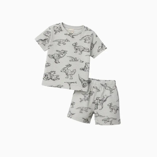T-shirt with shorts | Co-ord Sets| Dino print