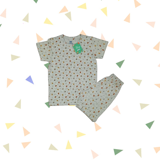 T-shirt with shorts | Co-ord Sets| Teddy print