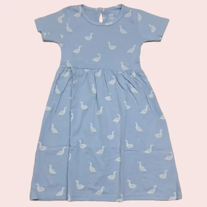 Ducks in light blue