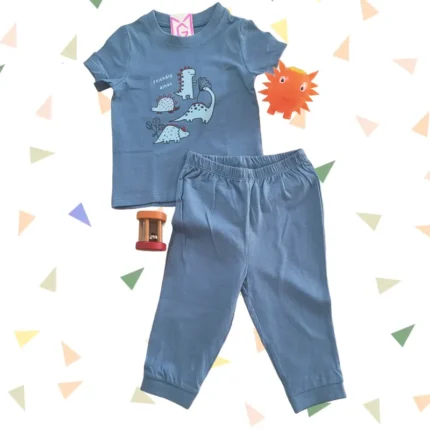 100% Cotton Kids Clothing Set - Short sleeve T-shirt with Full pants sets,  0 to 9 months | Blue Dino coord set